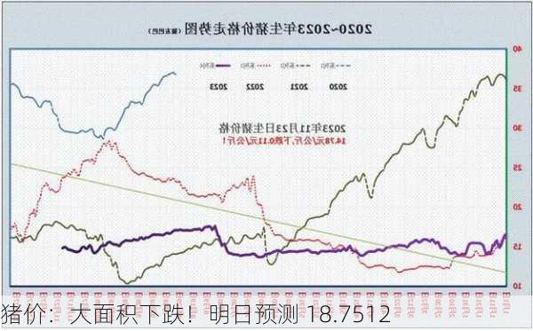 猪价：大面积下跌！明日预测 18.7512