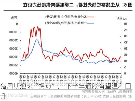 猪周期迎来“拐点”， 下半年通胀有望温和回升