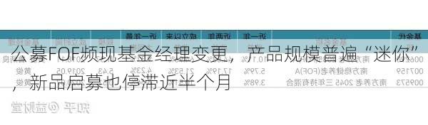 公募FOF频现基金经理变更，产品规模普遍“迷你”，新品启募也停滞近半个月