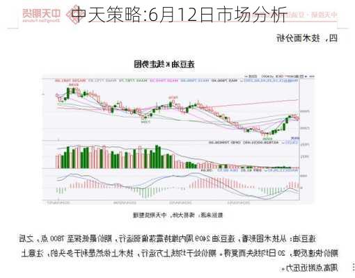 中天策略:6月12日市场分析
