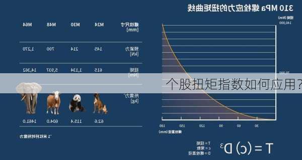 个股扭矩指数如何应用？