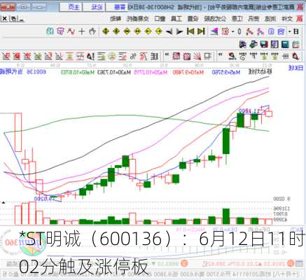 *ST明诚（600136）：6月12日11时02分触及涨停板