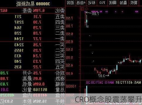 CRO概念股震荡攀升