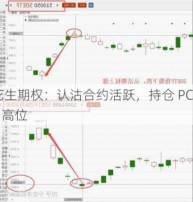 花生期权：认沽合约活跃，持仓 PCR 高位