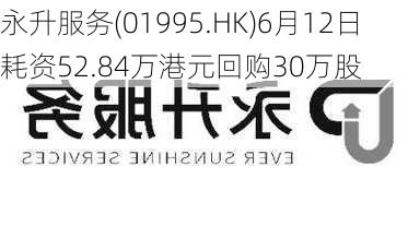 永升服务(01995.HK)6月12日耗资52.84万港元回购30万股