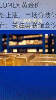 COMEX 黄金价格上涨，市场分歧仍存：关注美联储会议