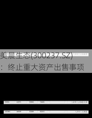 美晨生态(300237.SZ)：终止重大资产出售事项