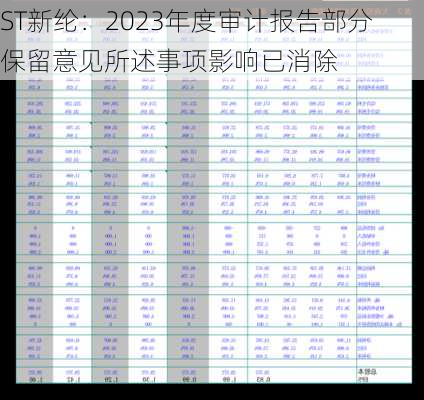 ST新纶：2023年度审计报告部分保留意见所述事项影响已消除