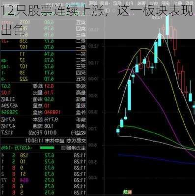 12只股票连续上涨，这一板块表现出色