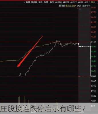 庄股接连跌停启示有哪些？