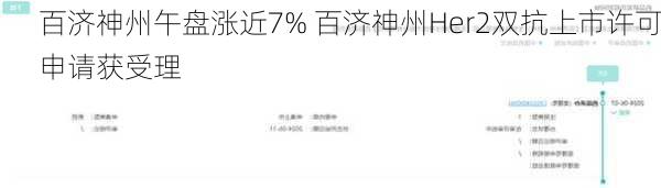 百济神州午盘涨近7% 百济神州Her2双抗上市许可申请获受理