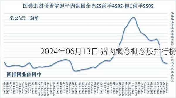 2024年06月13日 猪肉概念概念股排行榜