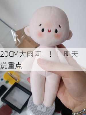 20CM大肉阿！！！明天说重点