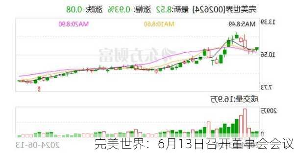 完美世界：6月13日召开董事会会议