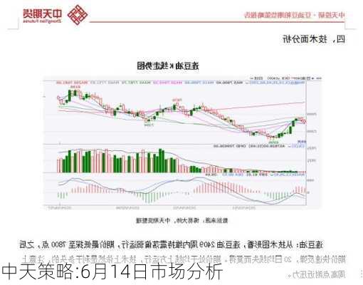 中天策略:6月14日市场分析