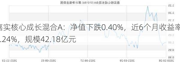 嘉实核心成长混合A：净值下跌0.40%，近6个月收益率-7.24%，规模42.18亿元