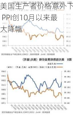 美国生产者价格意外下跌 PPI创10月以来最大降幅