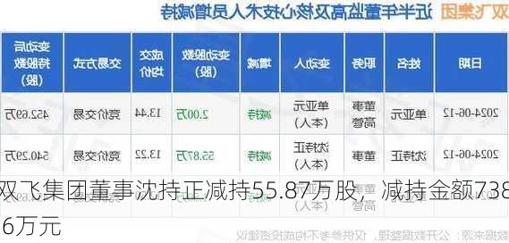 双飞集团董事沈持正减持55.87万股，减持金额738.6万元