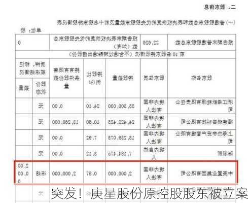 突发！庚星股份原控股股东被立案