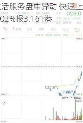 雅生活服务盘中异动 快速上涨5.02%报3.161港元