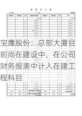 宝鹰股份：总部大厦目前尚在建设中，在公司财务报表中计入在建工程科目