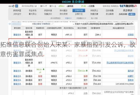 拓维信息联合创始人宋某：家暴指控引发公诉，故意伤害罪成焦点