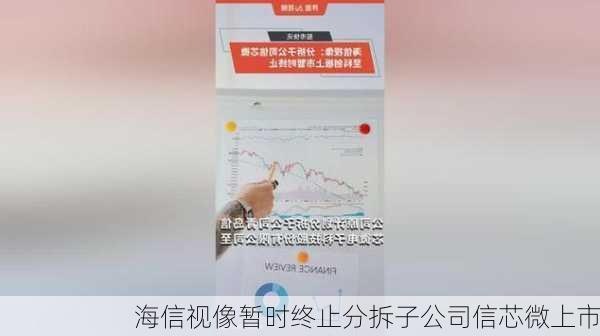 海信视像暂时终止分拆子公司信芯微上市