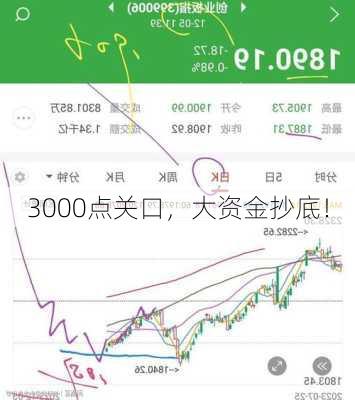 3000点关口，大资金抄底！