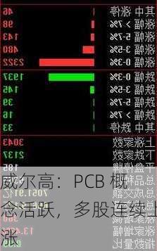 威尔高：PCB 概念活跃，多股连续上涨