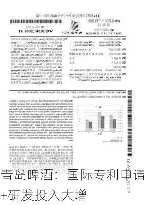 青岛啤酒：国际专利申请+研发投入大增