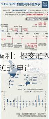 智利：提交加入 RCEP 申请