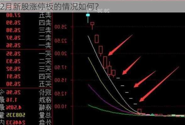 2月新股涨停板的情况如何？