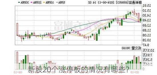 新股20个涨停板的情况有哪些？