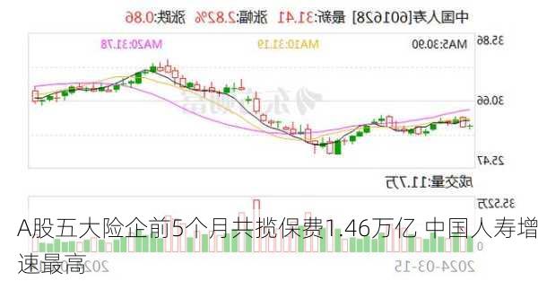 A股五大险企前5个月共揽保费1.46万亿 中国人寿增速最高