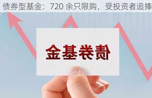 债券型基金：720 余只限购，受投资者追捧