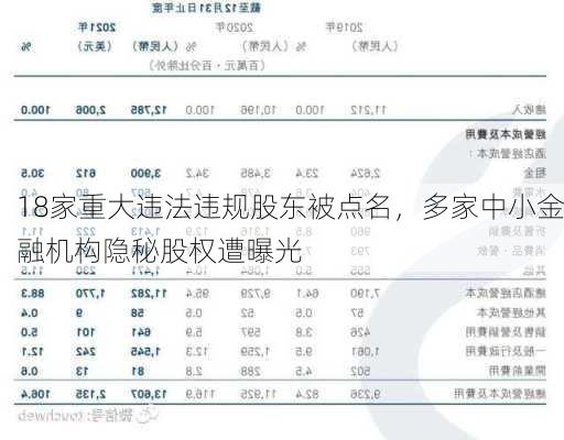 18家重大违法违规股东被点名，多家中小金融机构隐秘股权遭曝光