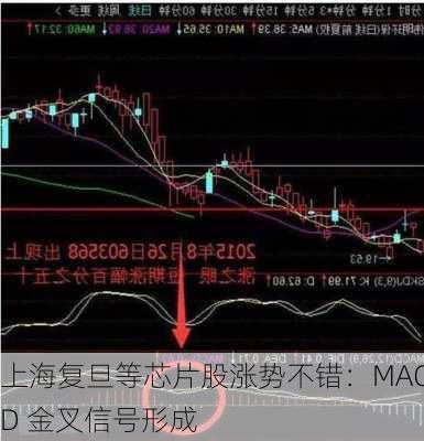 上海复旦等芯片股涨势不错：MACD 金叉信号形成