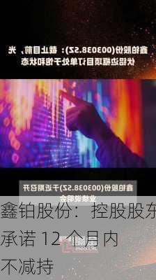 鑫铂股份：控股股东承诺 12 个月内不减持