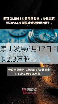 摩比发展6月17日回购2.3万股