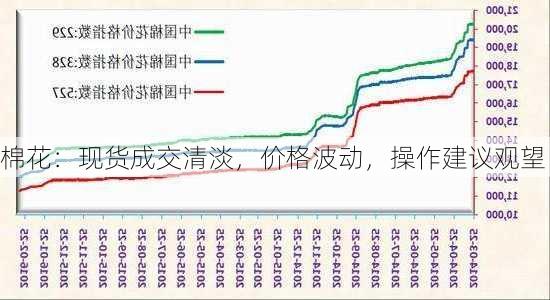 棉花：现货成交清淡，价格波动，操作建议观望