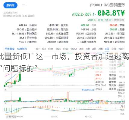 批量新低！这一市场，投资者加速逃离“问题标的”