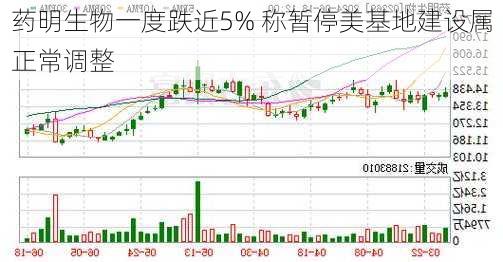 药明生物一度跌近5% 称暂停美基地建设属正常调整