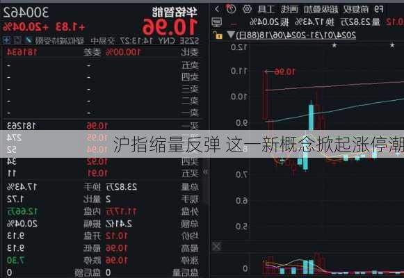 沪指缩量反弹 这一新概念掀起涨停潮