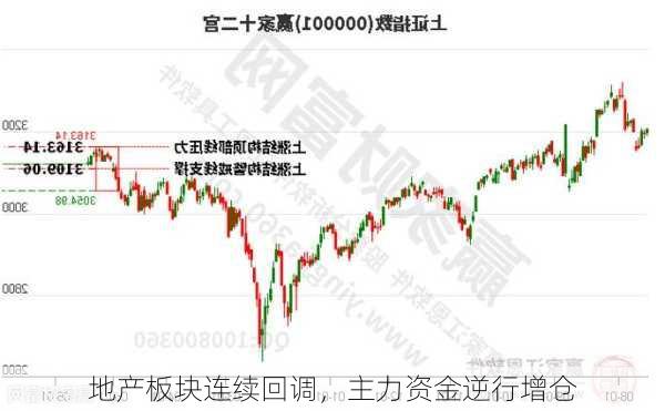 地产板块连续回调，主力资金逆行增仓