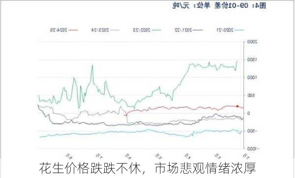 花生价格跌跌不休，市场悲观情绪浓厚