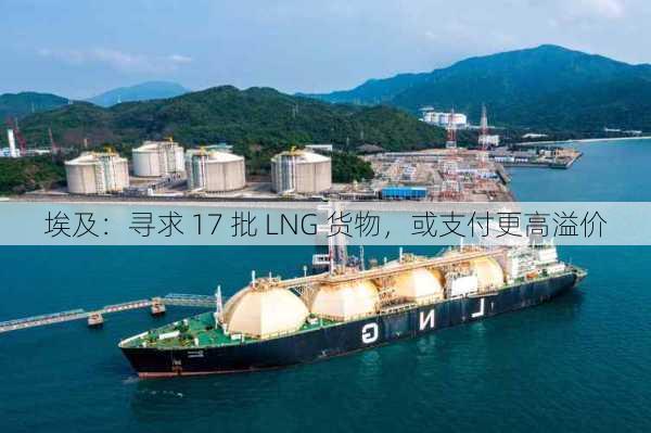 埃及：寻求 17 批 LNG 货物，或支付更高溢价