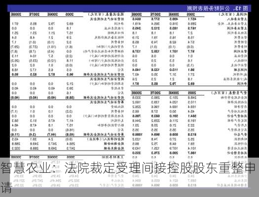 智慧农业：法院裁定受理间接控股股东重整申请