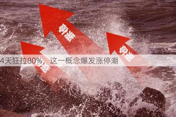 4天狂拉80%，这一概念爆发涨停潮