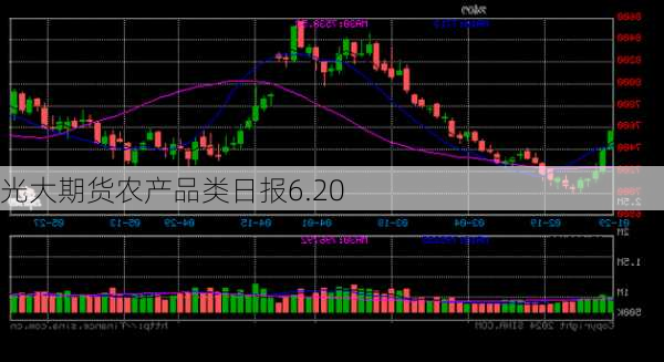 光大期货农产品类日报6.20