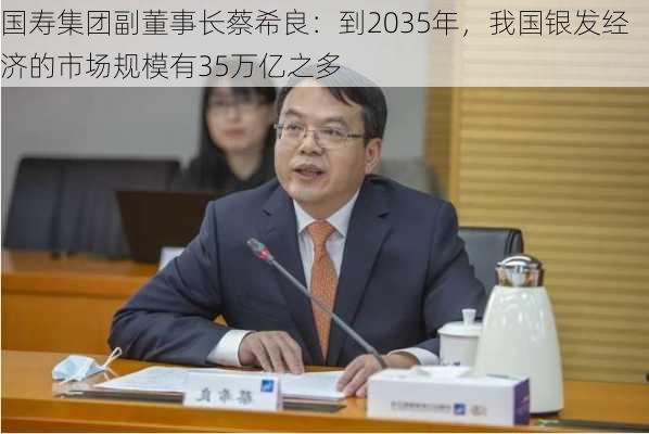 国寿集团副董事长蔡希良：到2035年，我国银发经济的市场规模有35万亿之多